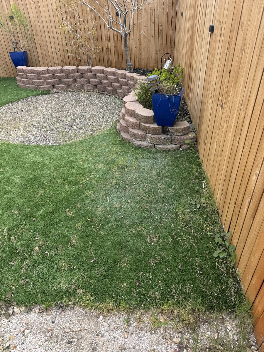 Artificial turf in a Henderson back yard before cleaning, showing flattened grey fibres and compacted infill
